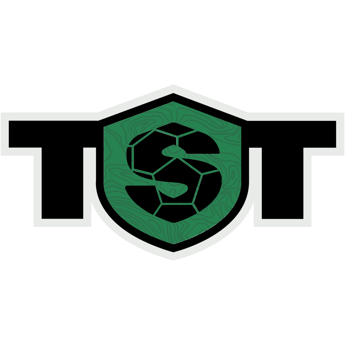 The Rise of TST: How "The Soccer Tournament" Conquered the Summer